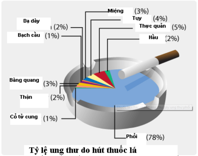 Các nhà khoa học đã phát hiện ra hút thuốc gây ung thư như thế nào